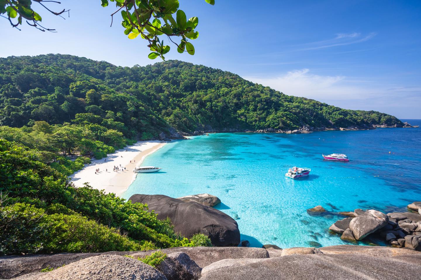 Scuba Liveaboard Similan 2D1N