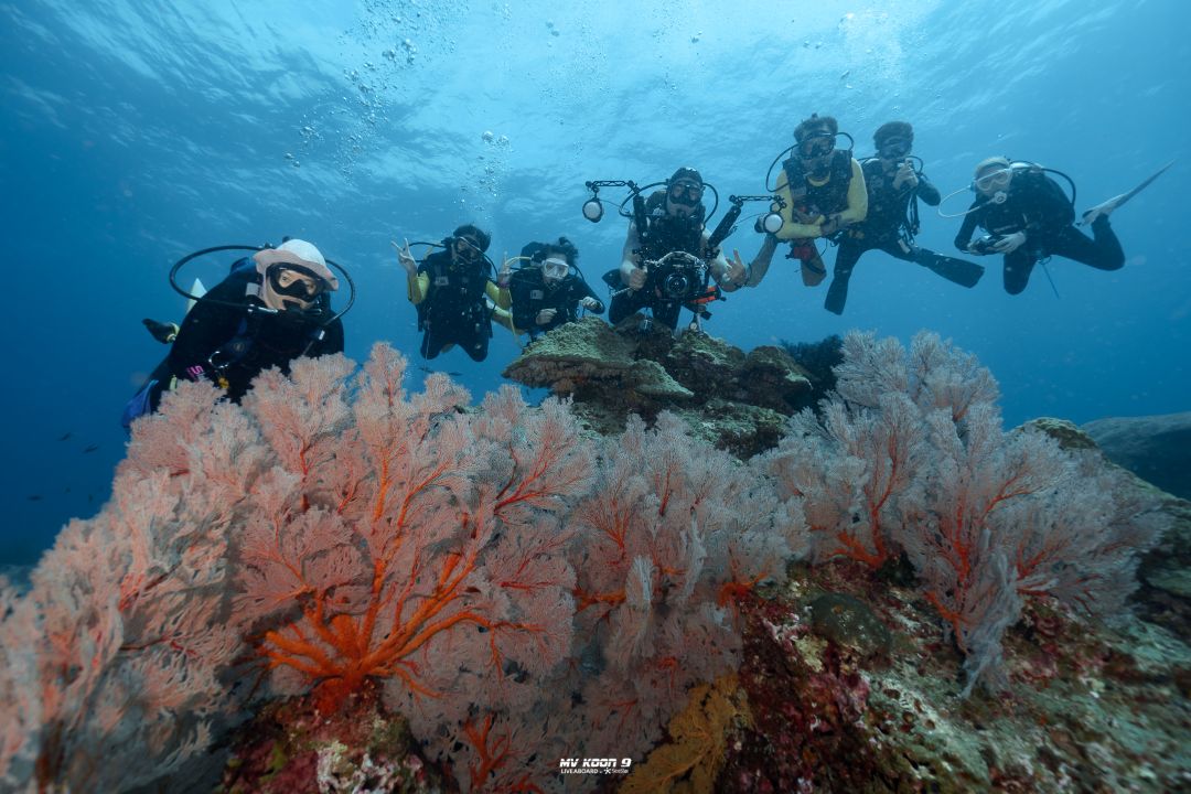 Scuba Liveaboard Similan 2D1N