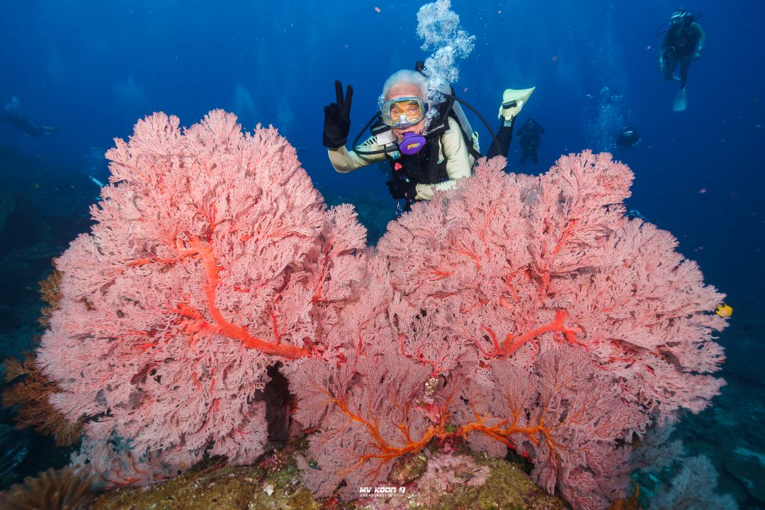 Scuba Liveaboard Similan 2D1N