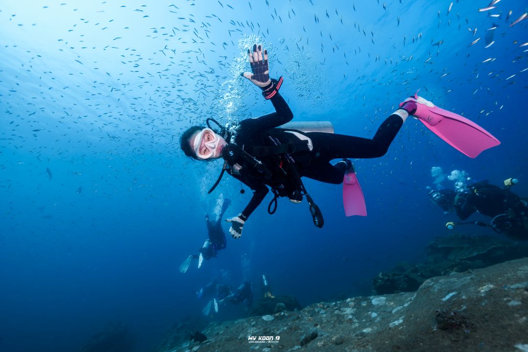 Scuba Liveaboard Similan 2D1N