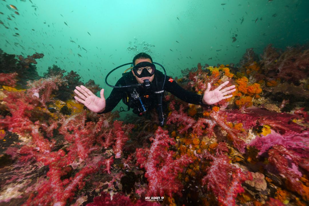 Scuba Liveaboard Similan 2D1N
