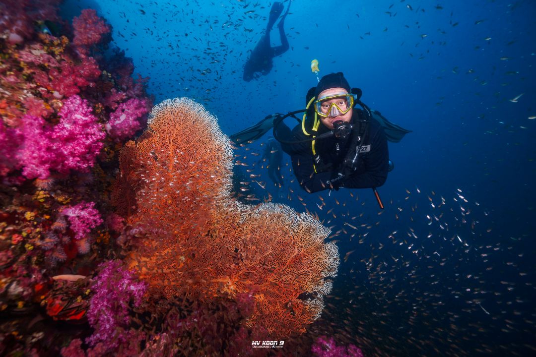 Scuba Liveaboard Similan 2D1N