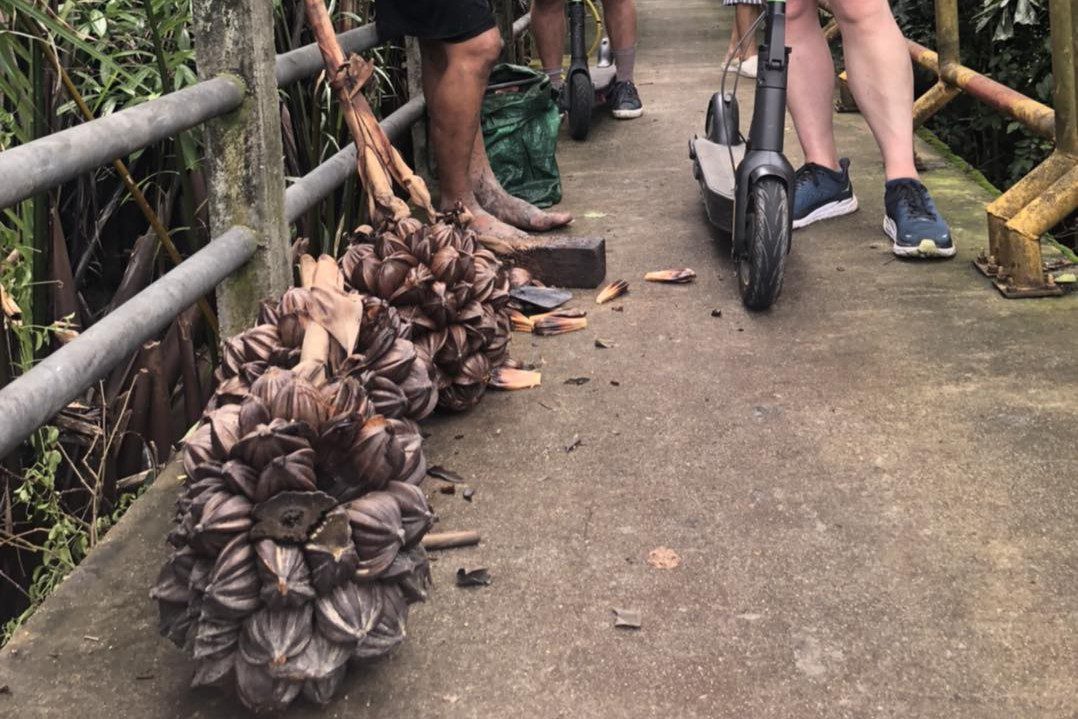 Bangkok E‑Scooter Tour