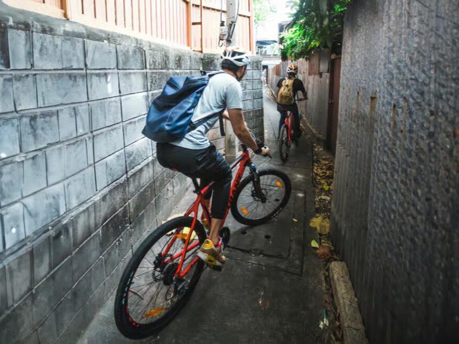 Bangkok food bike tour