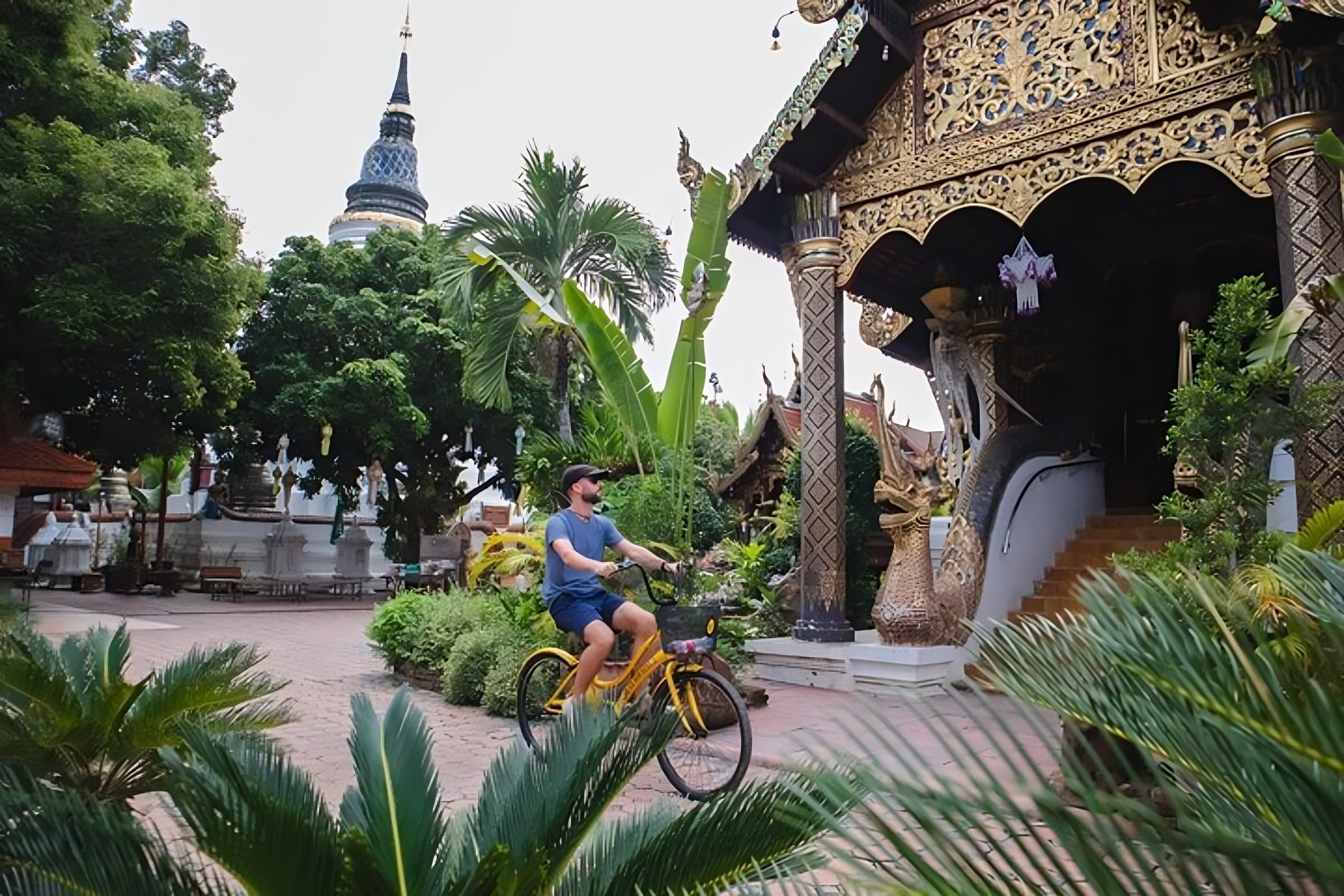 Chiang Mai Cycling Tour