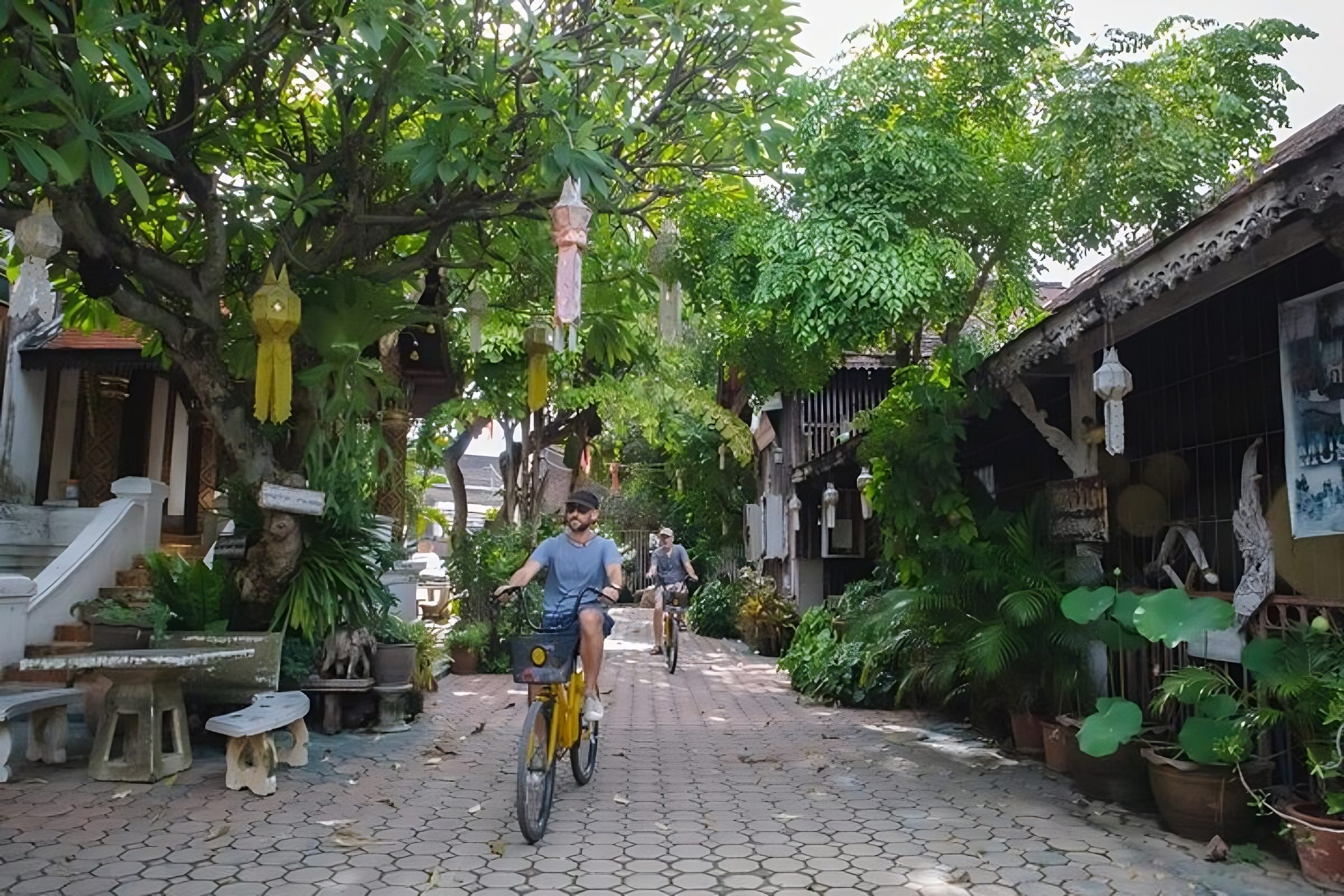 Chiang Mai Cycling Tour
