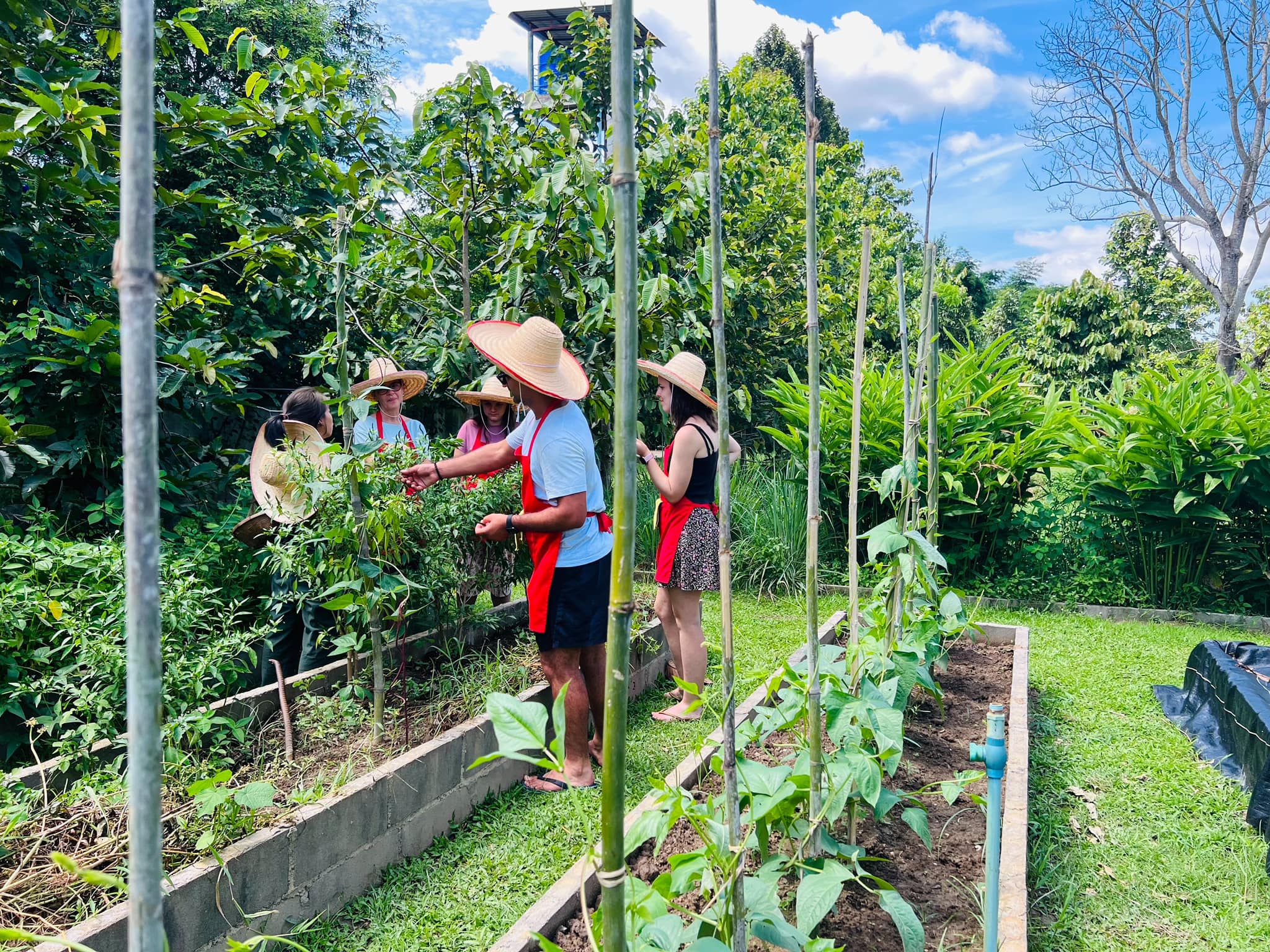Chiang Mai Cooking Class