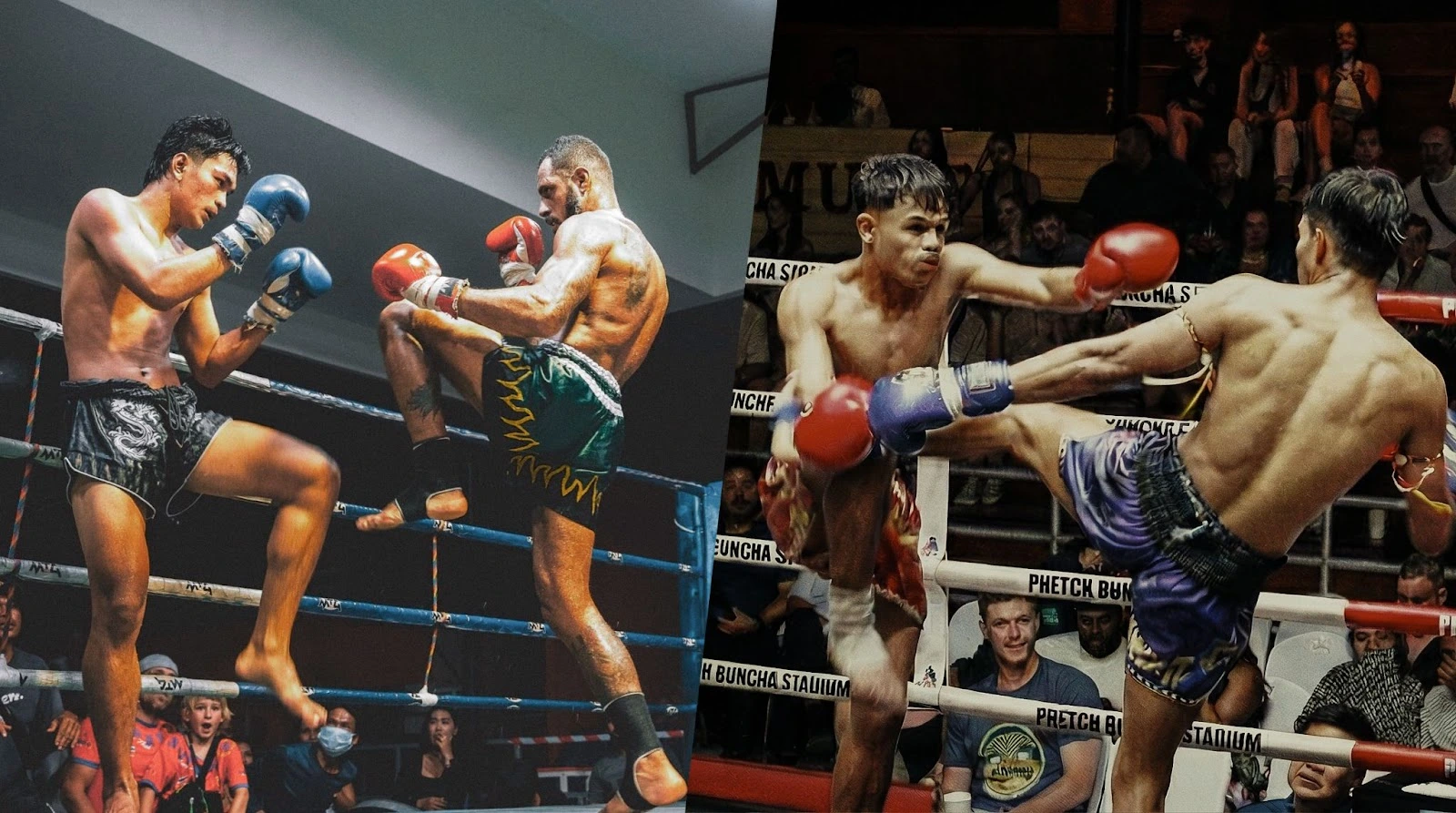 Samui Muay Thai Fight: Roar the Night at Phetchbuncha & International Stadium