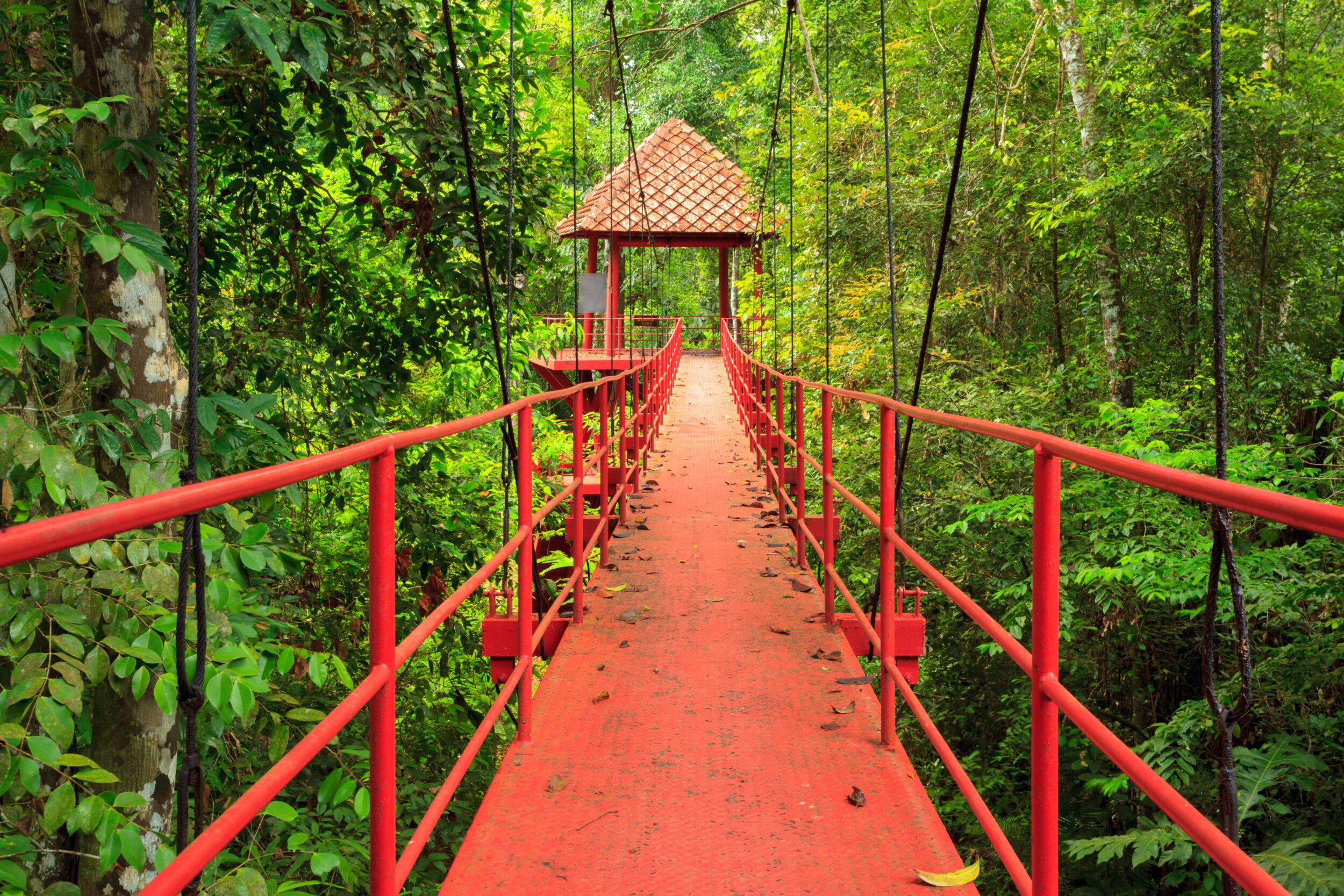 Peninsula Botanic Garden