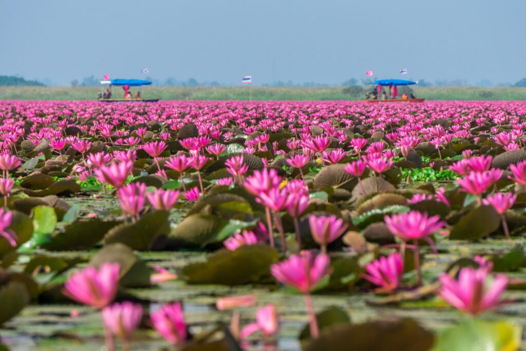 The travel destination for tourism in Kumphawapi district, Udon Thani, Thailand