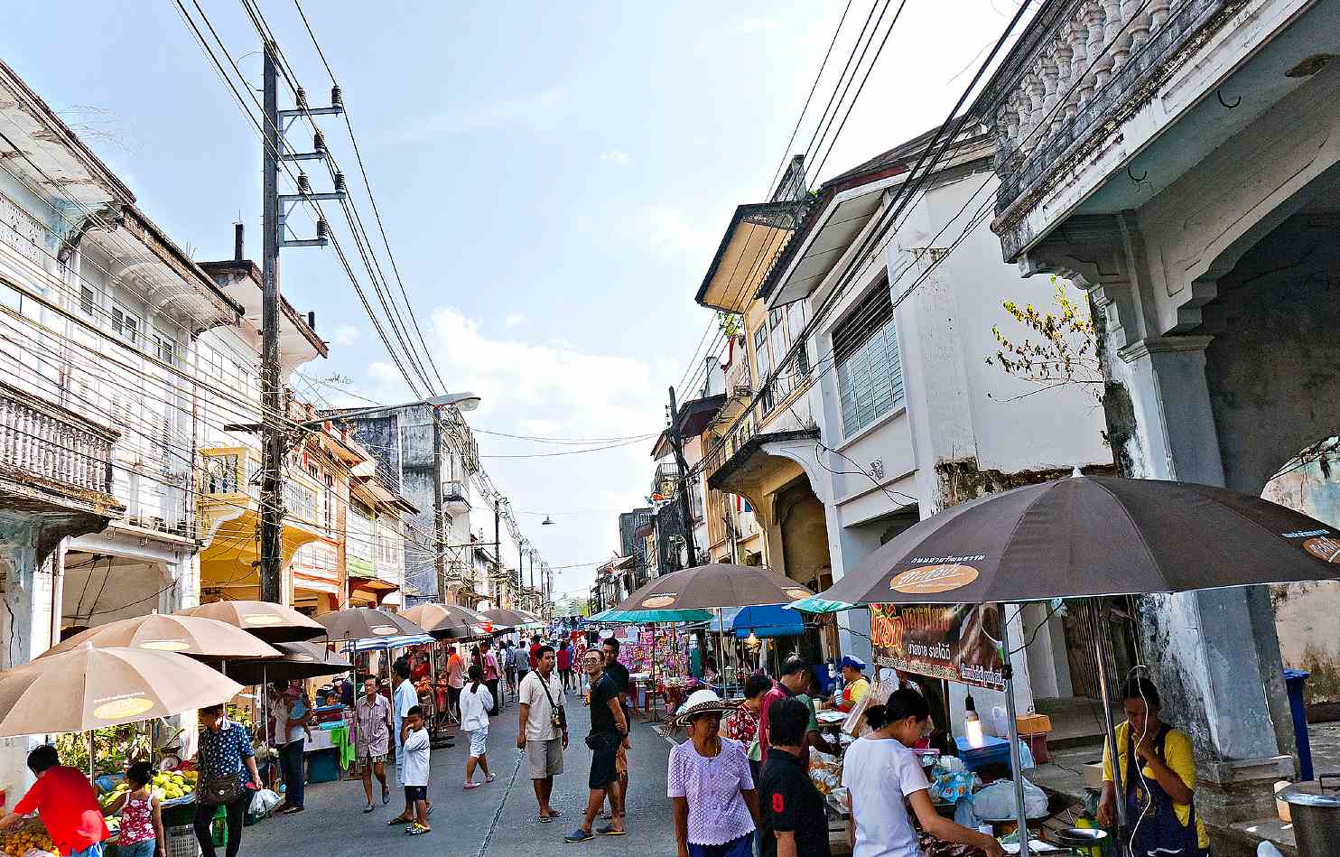 Little Amazon Takuapa