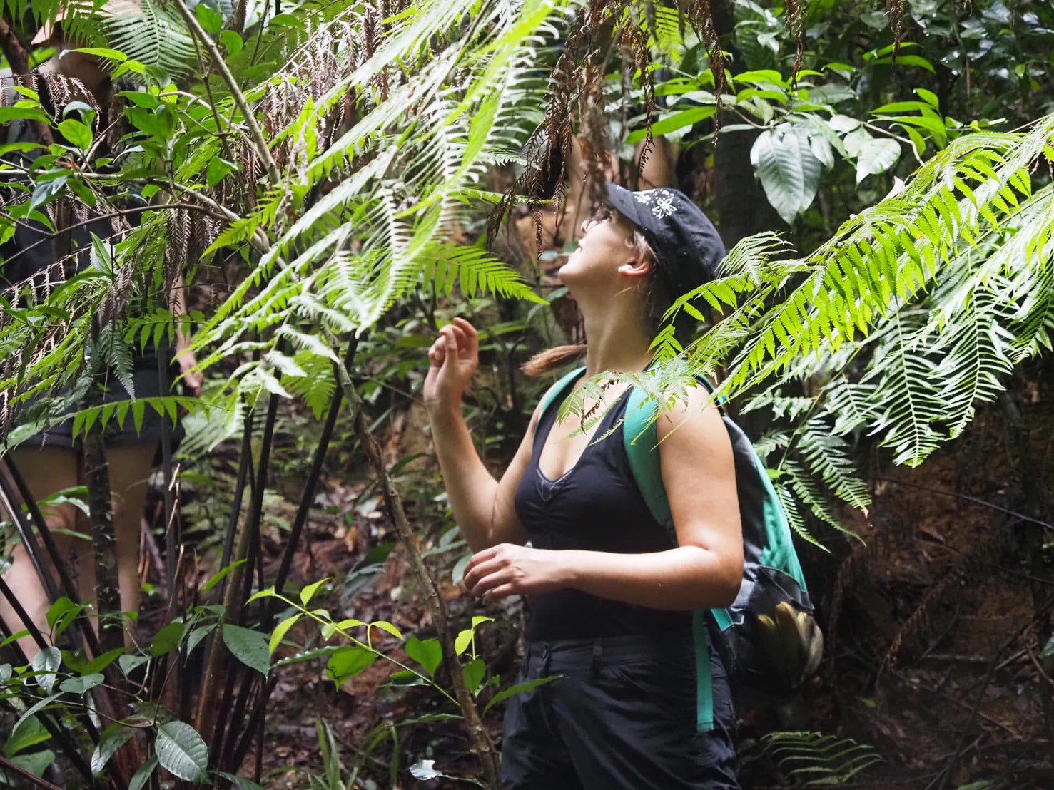 Koh Chang Jungle Trek