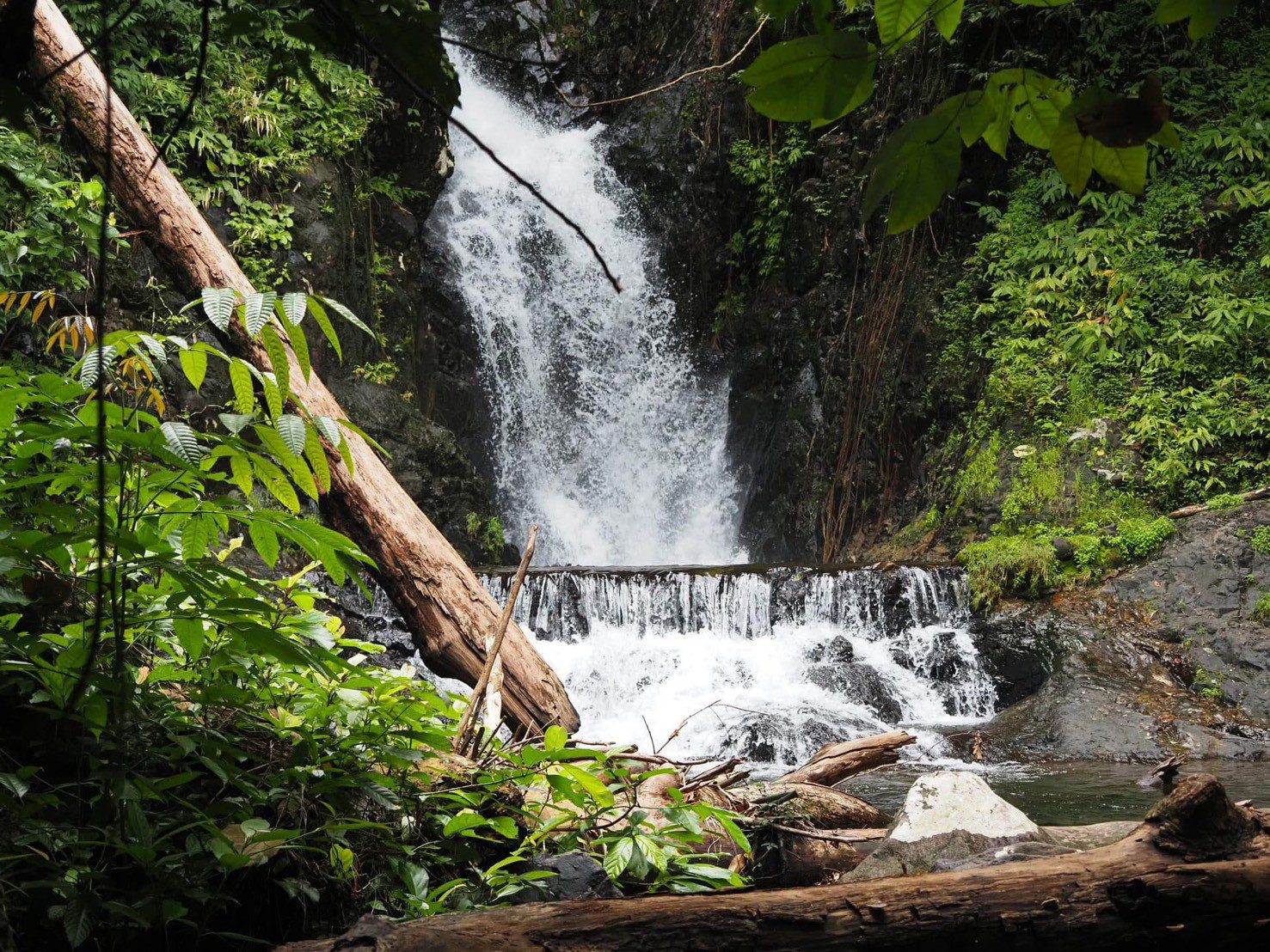 Koh Chang Jungle Trek