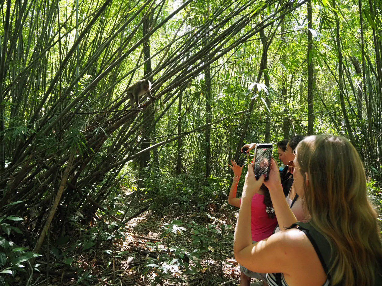 Koh Chang Jungle Trek