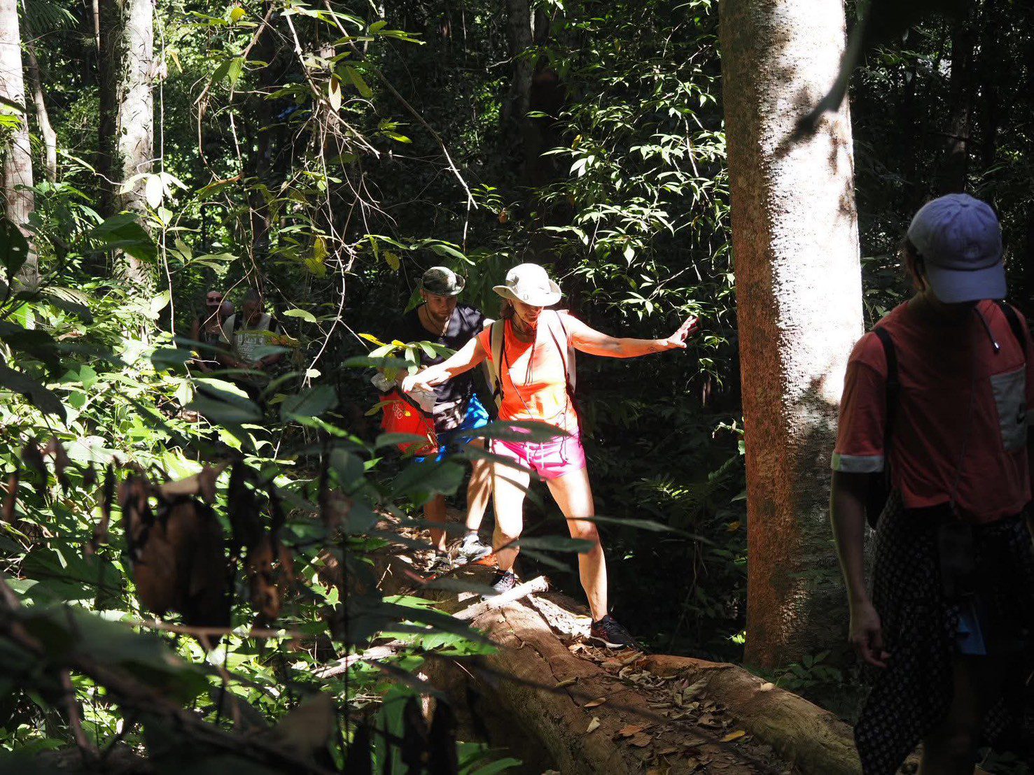 Koh Chang Jungle Trek