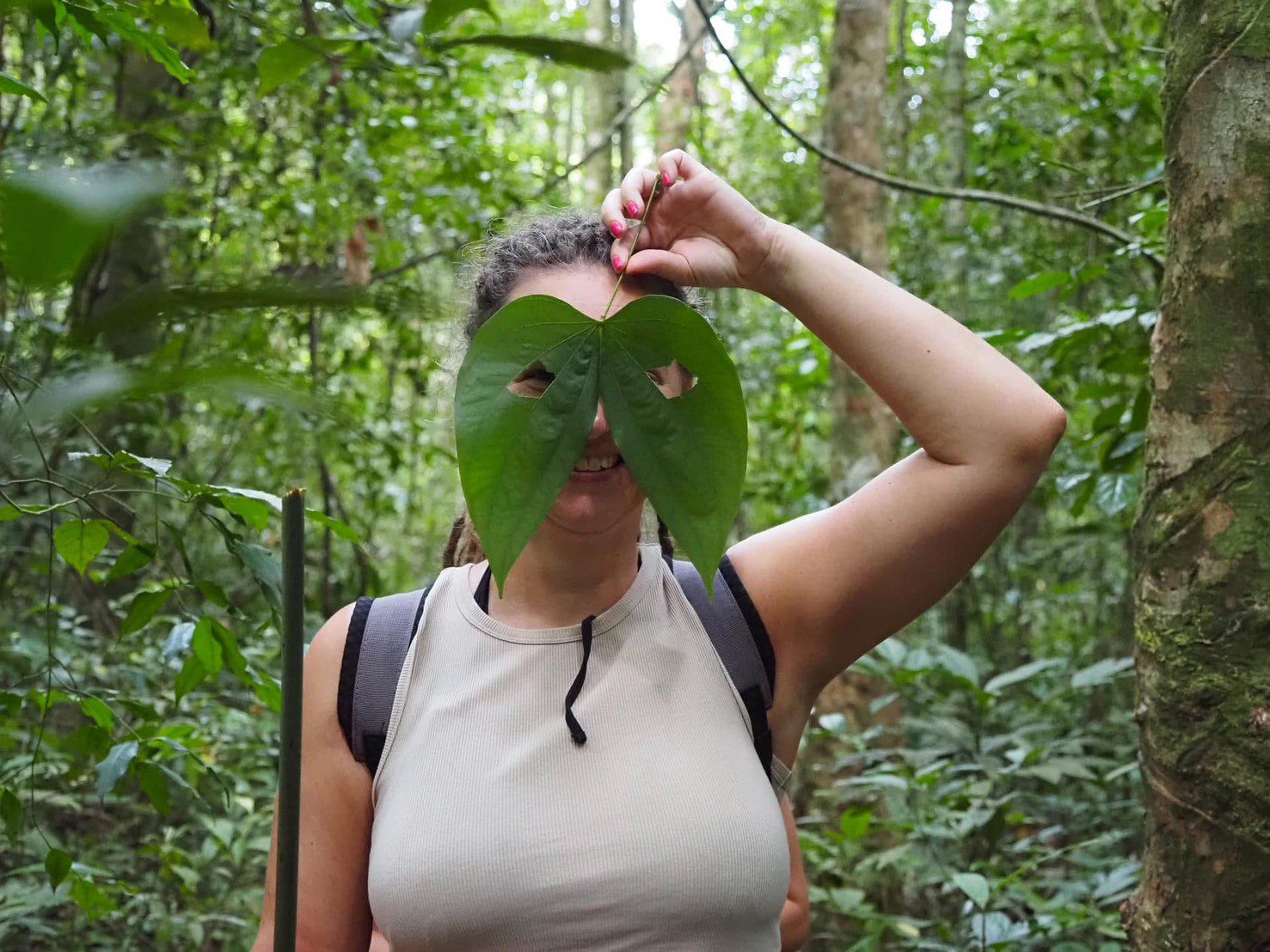 Koh Chang jungle trek