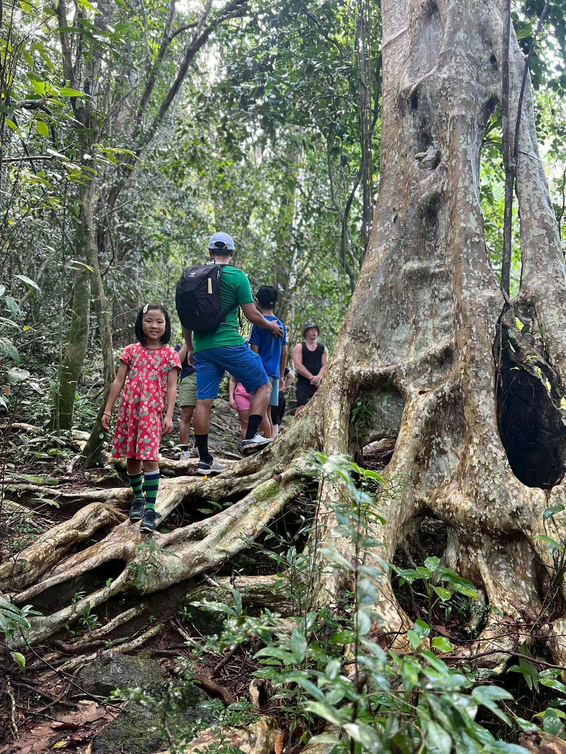 Koh Chang jungle trek