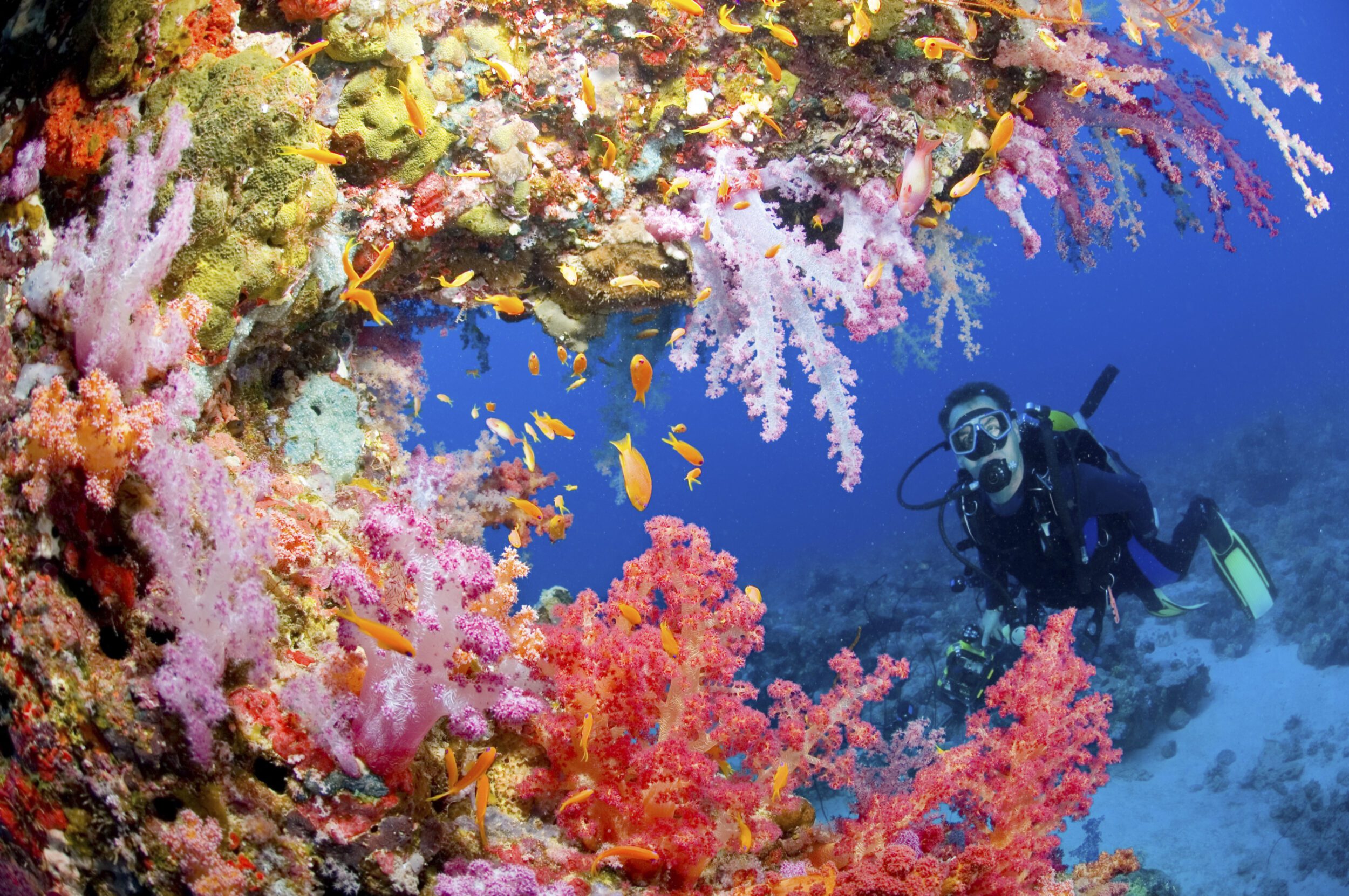 Discover-Scuba-Diving-Koh-Lipe