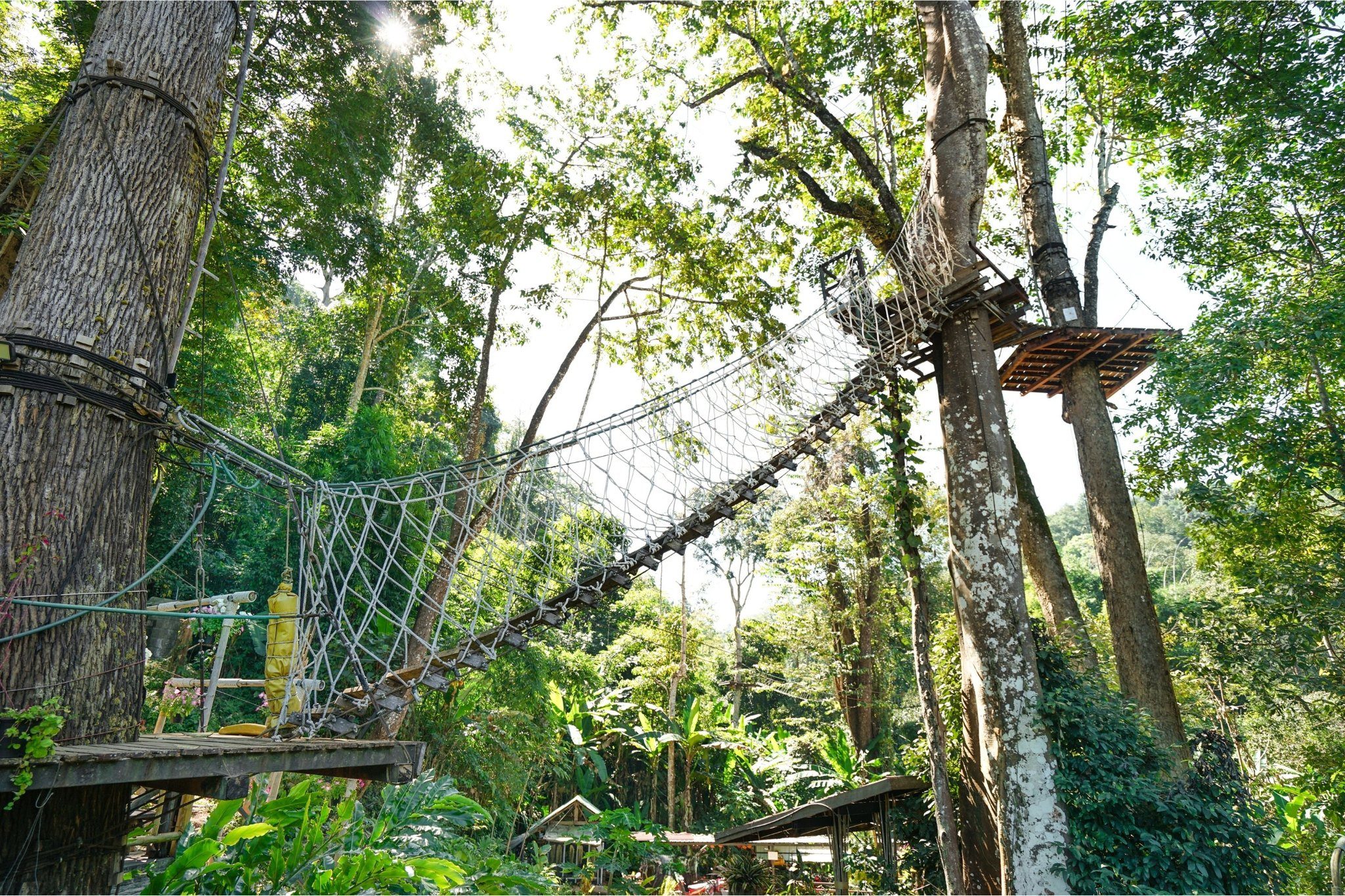 Chiang Mai Sky Hawk Zipline Adventure