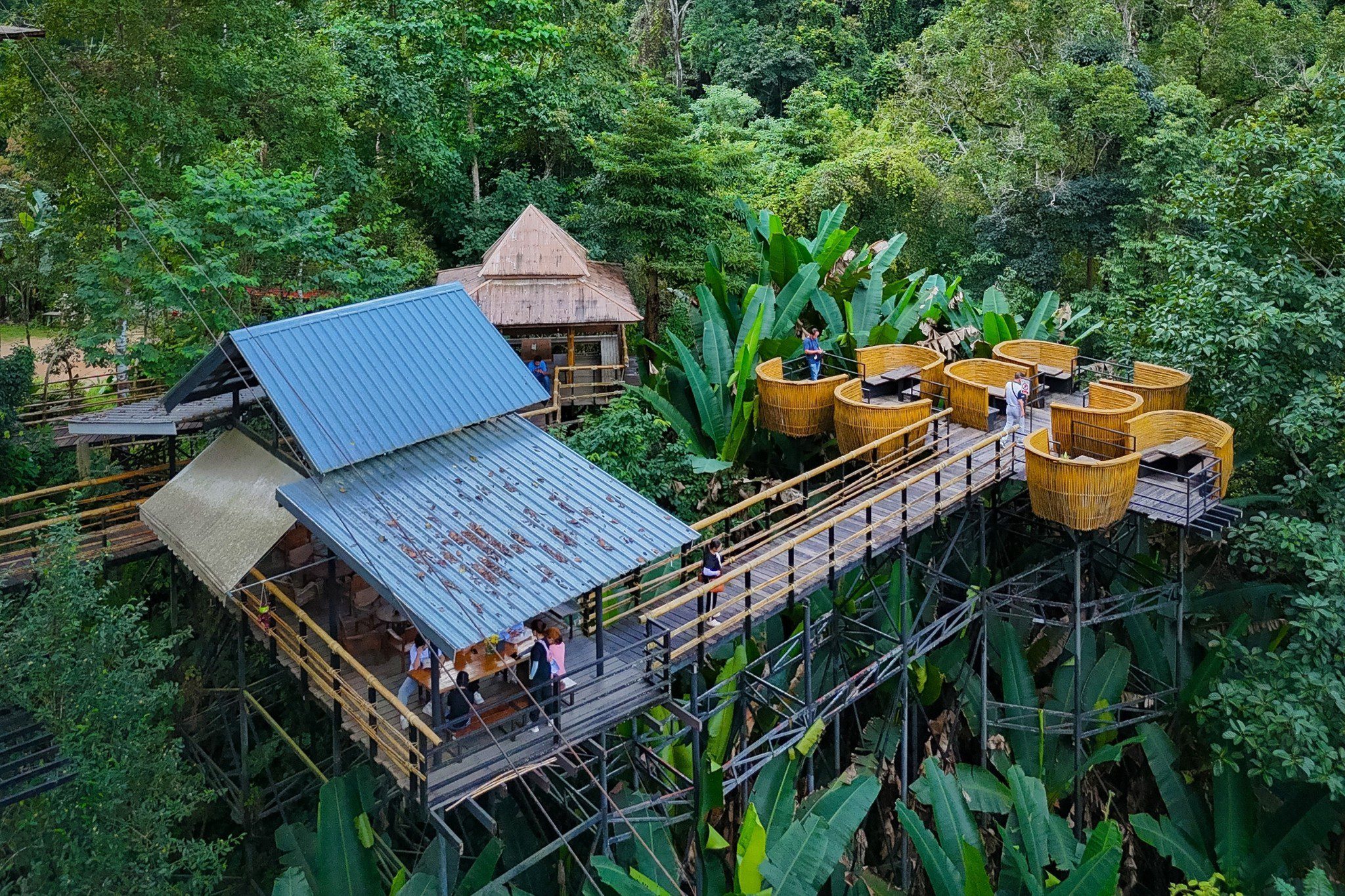 Chiang Mai Sky Hawk Zipline Adventure