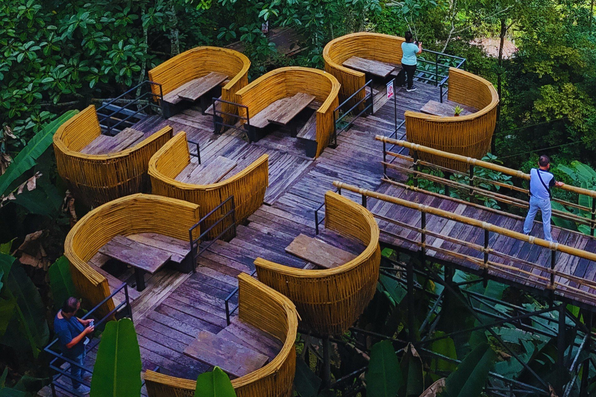 Chiang Mai Sky Hawk Zipline Adventure