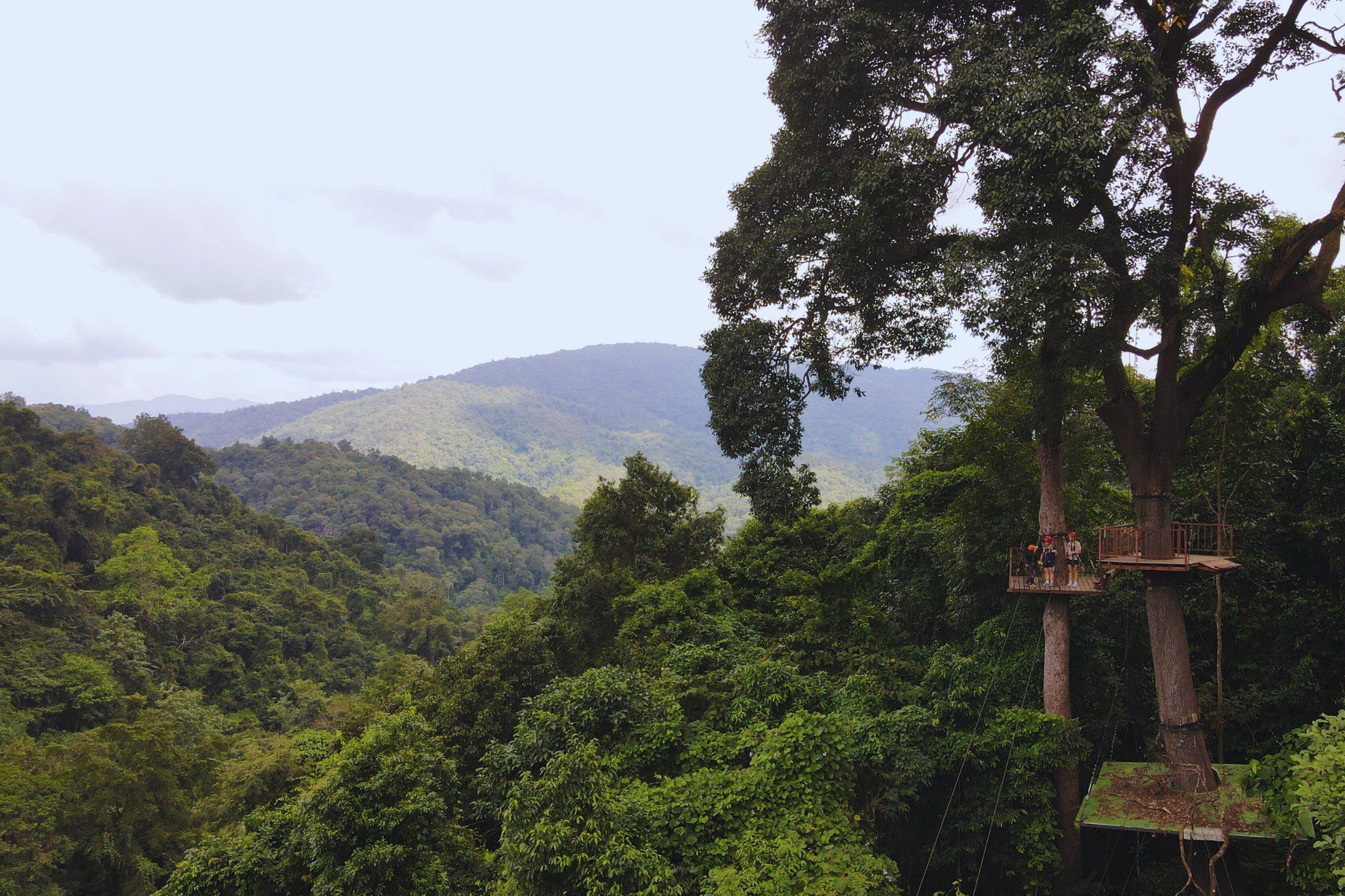 Chiang Mai Sky Hawk Zipline Adventure
