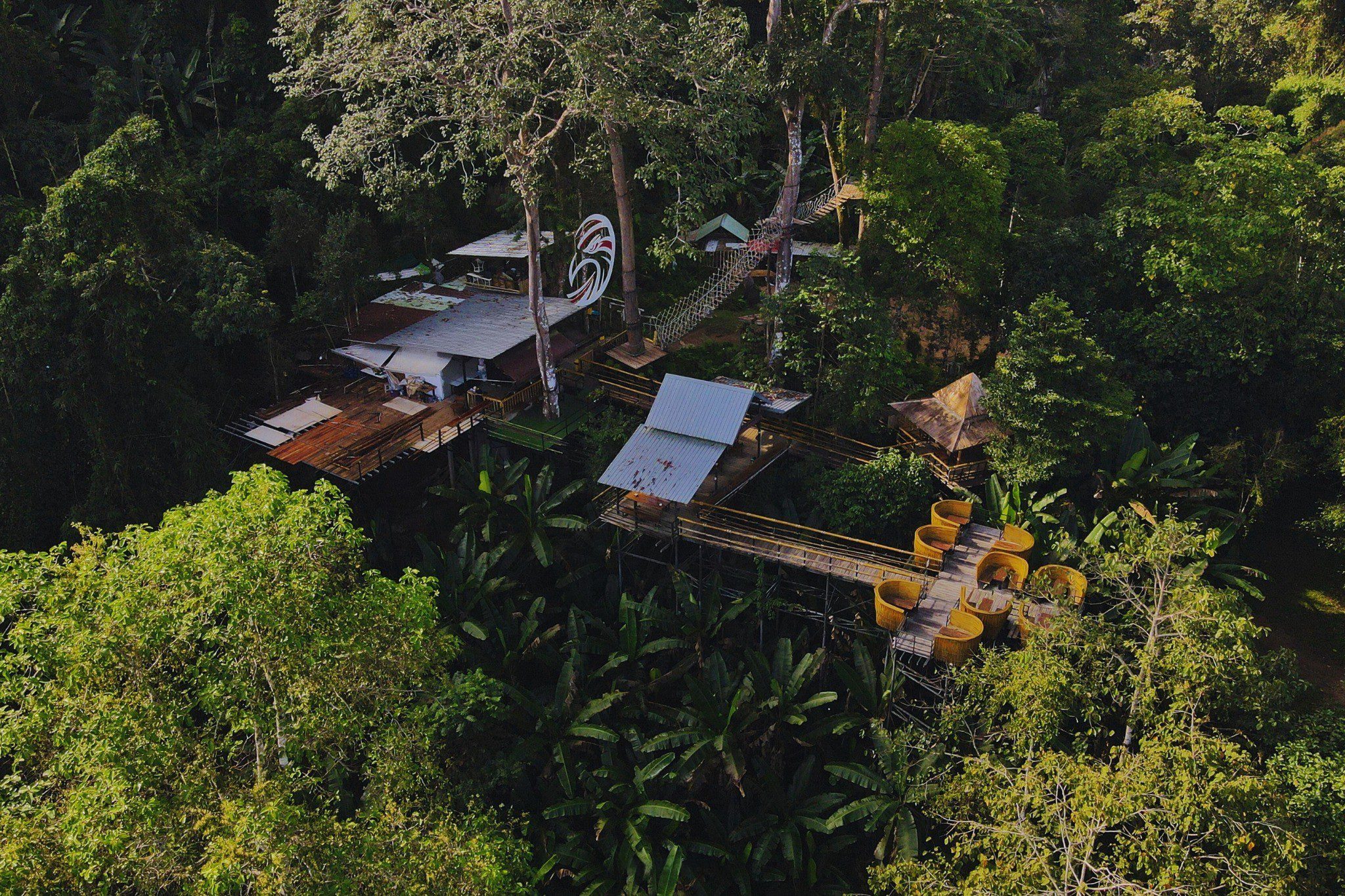 Chiang Mai Sky Hawk Zipline Adventure