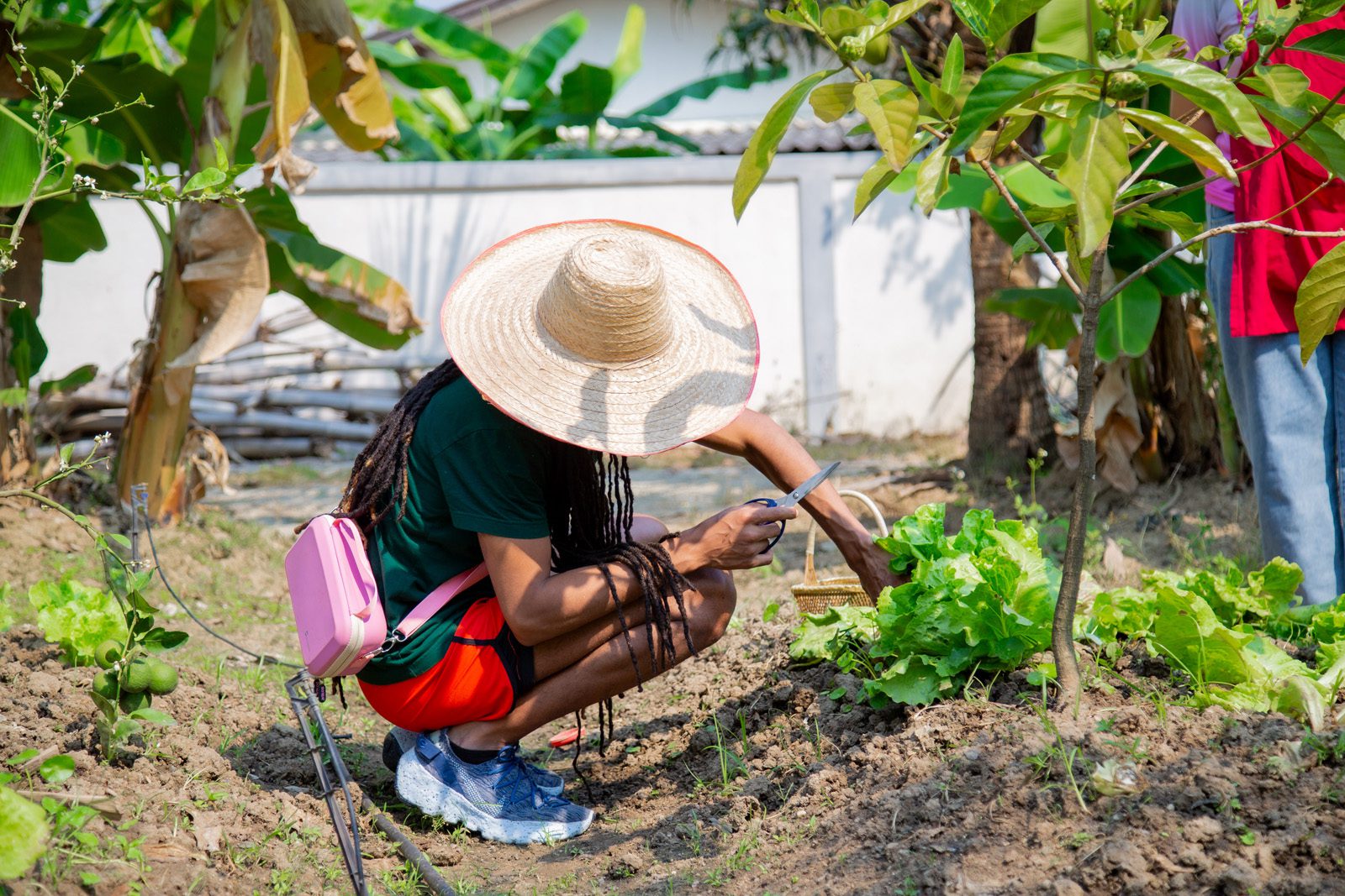 Chiang Mai cooking class farm