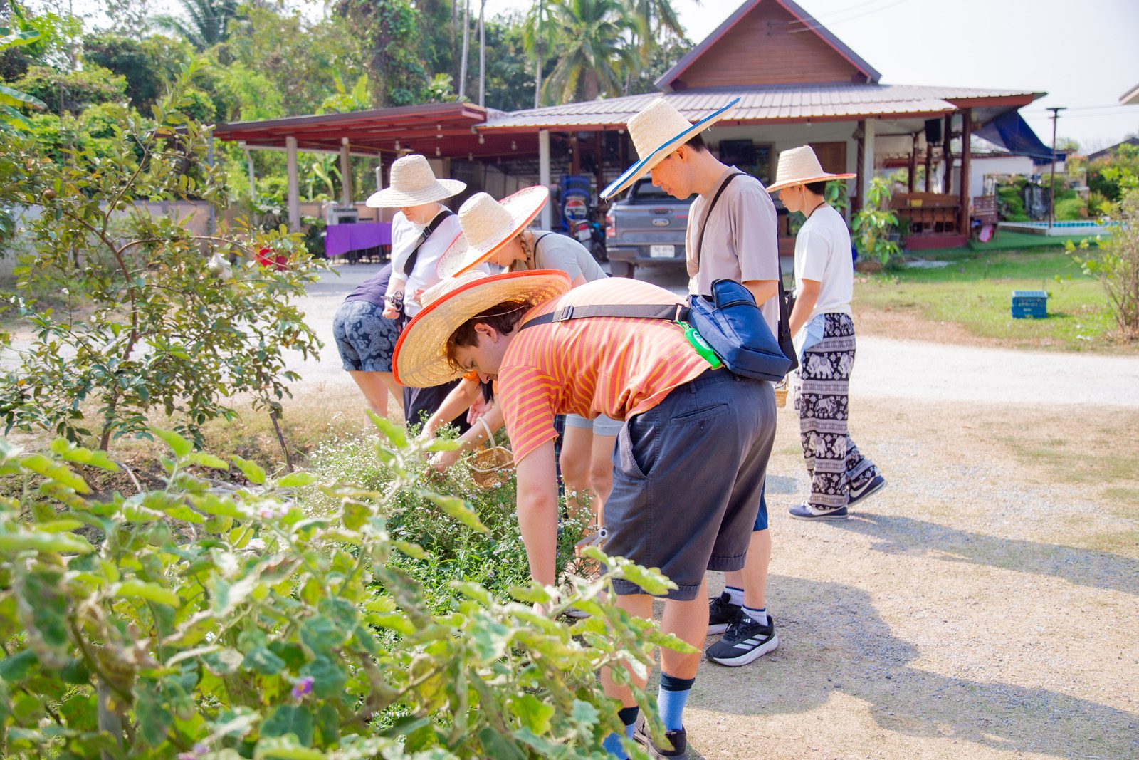 Chiang Mai cooking class farm