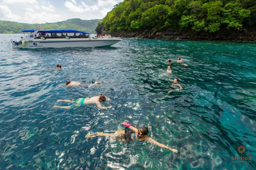 snorkelling at Bamboo Island coral reef marine life Phi Phi