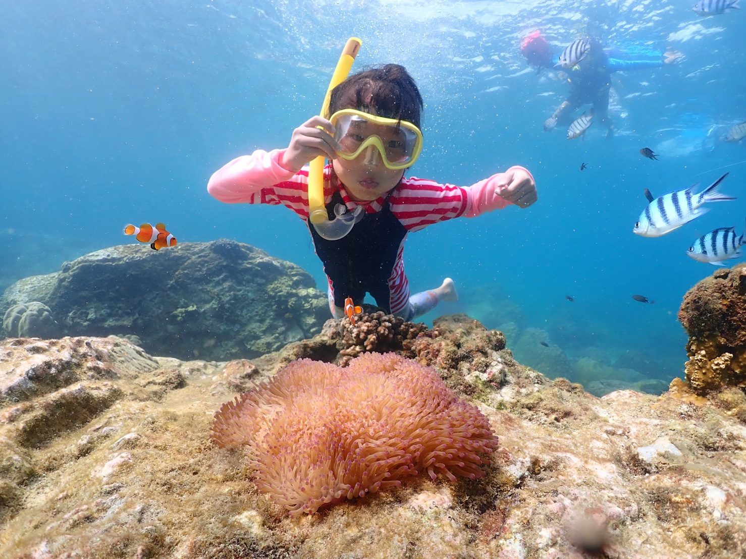 Samaesan Island snorkeling tour