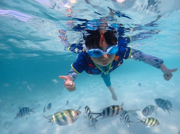 Samaesan Island snorkeling tour