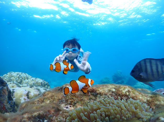 Samaesan Island snorkeling tour