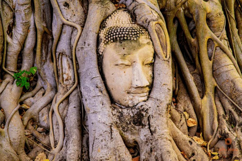 Ayutthaya Wat Mahathat