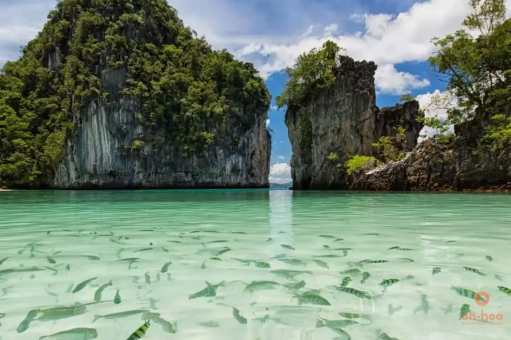 snorkelling Koh Hong, Krabi, coral reef fish underwater