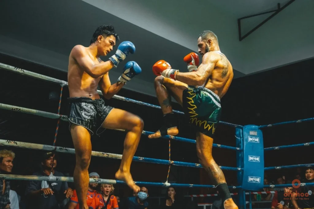 Koh Samui Muay Thai Stadium crowd watching live fight night