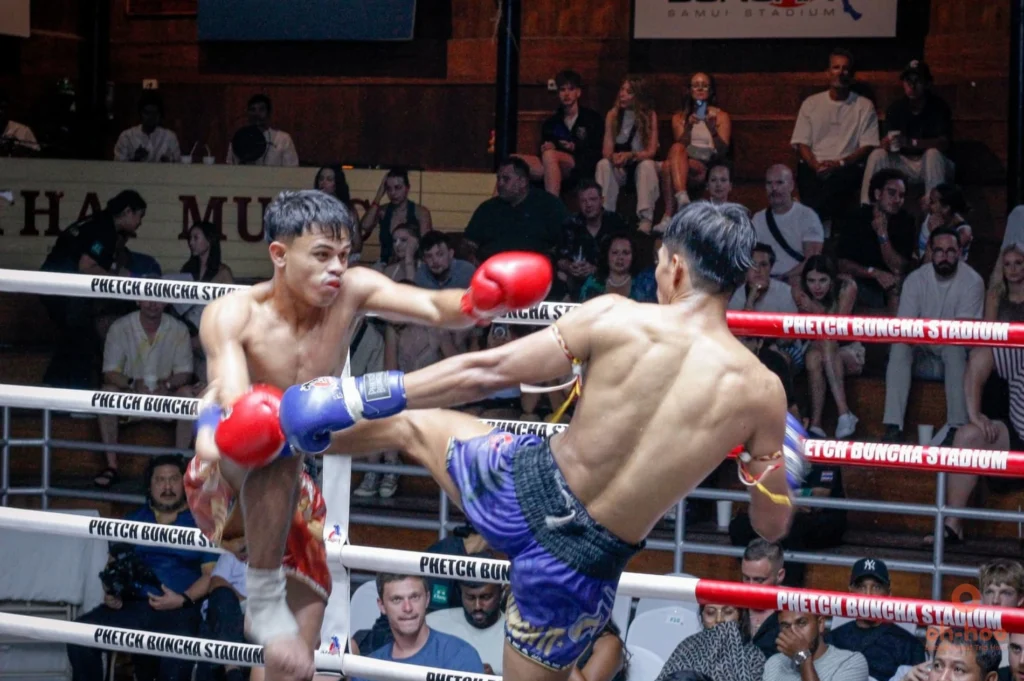 ringside seats Muay Thai fight night Koh Samui, view from the ring