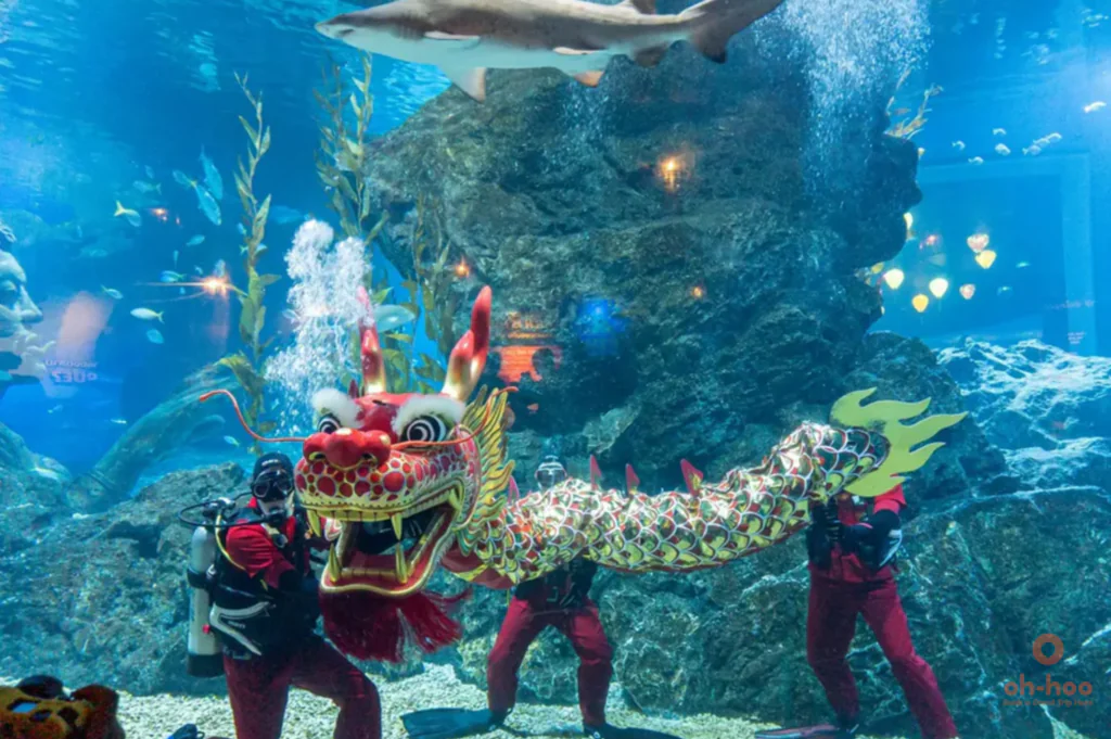 underwater show the Sea Life Bangkok 