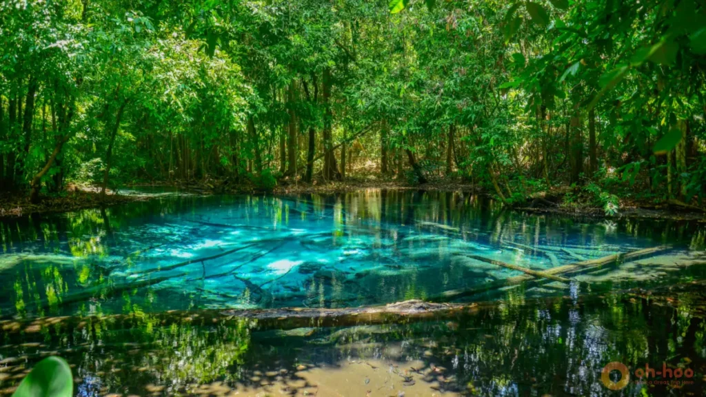 This image shows the Emerald Pool in Krabi, Thailand, a clear turquoise jungle pool surrounded by tropical forest, highlighting one of the best things to do in Krabi for nature lovers, families and travelers exploring hidden gems beyond the islands.
