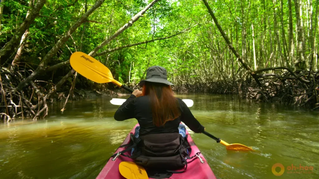 This image shows a traveler kayaking through a peaceful mangrove forest in Krabi, Thailand, highlighting kayaking, nature tours and hidden gems as one of the best things to do in Krabi for adventure travelers and families.