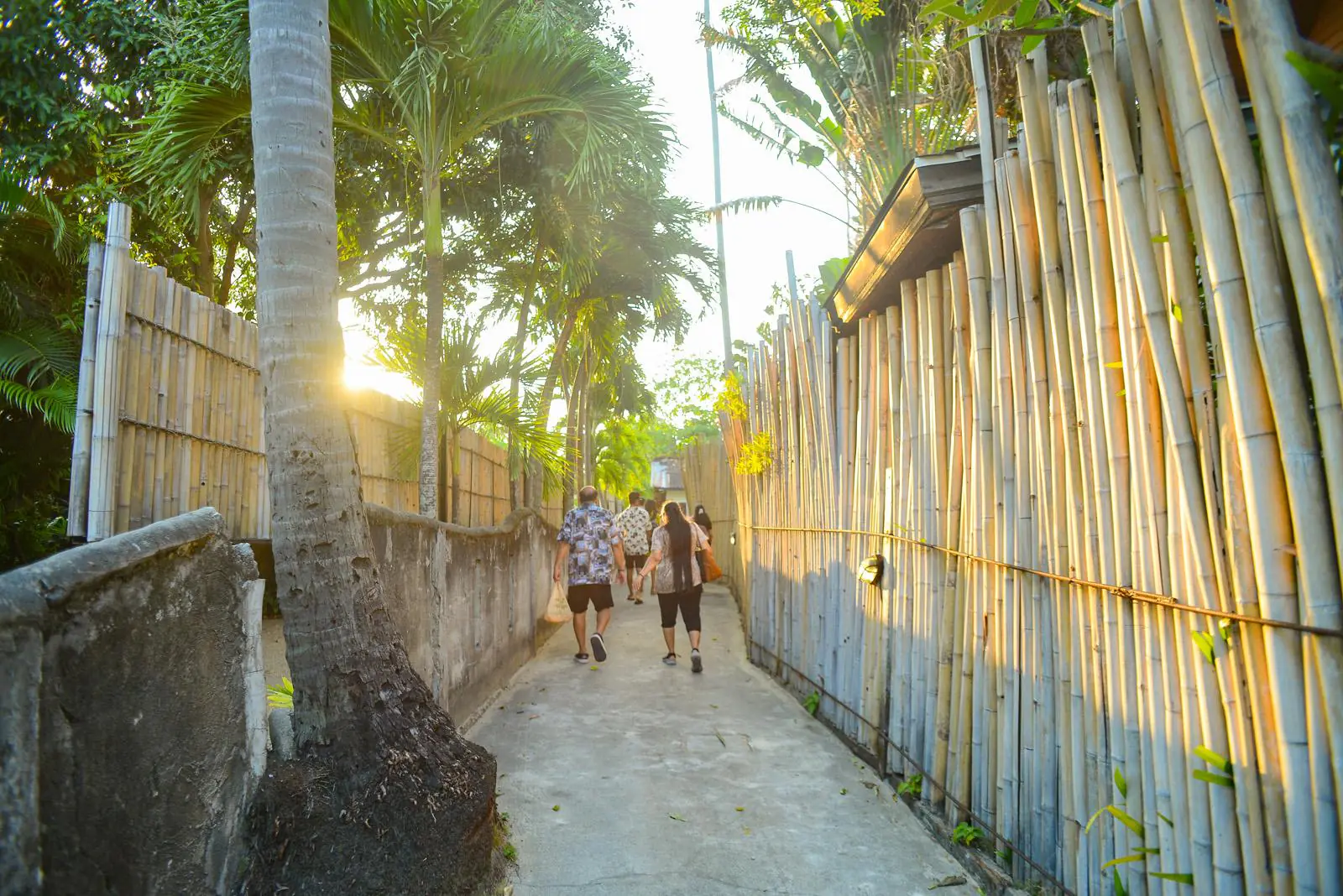 Railay Beach Sunset Plankton Tour