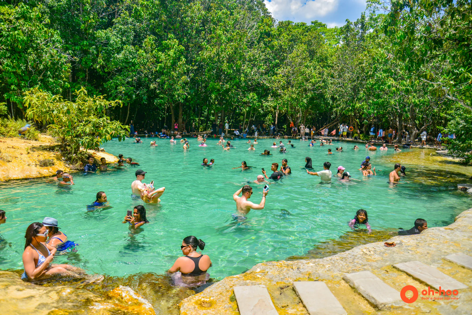 Visitors swimming in the turquoise water of Emerald Pool Krabi surrounded by rainforest