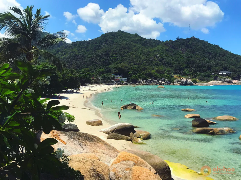 Koh Samui beach with tropical palm trees