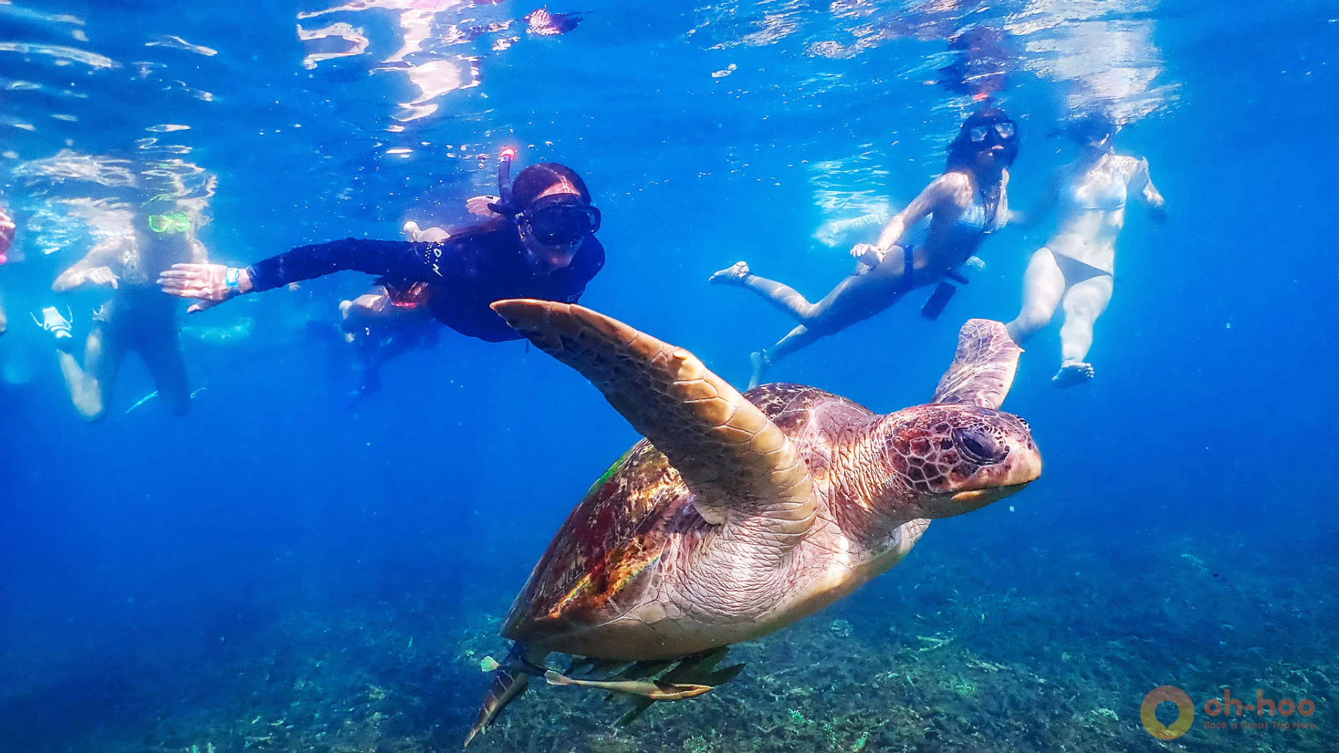 Koh Tao snorkeling bay and crystal-clear water