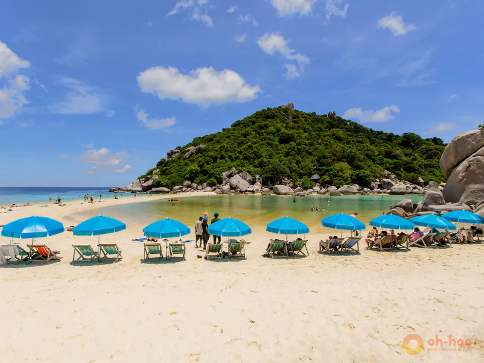 Things to do in Koh Tao and Koh Tao Nang Yuan sea tour