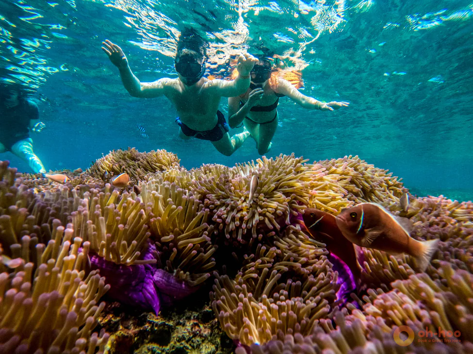 Best things to do in Koh Tao Thailand