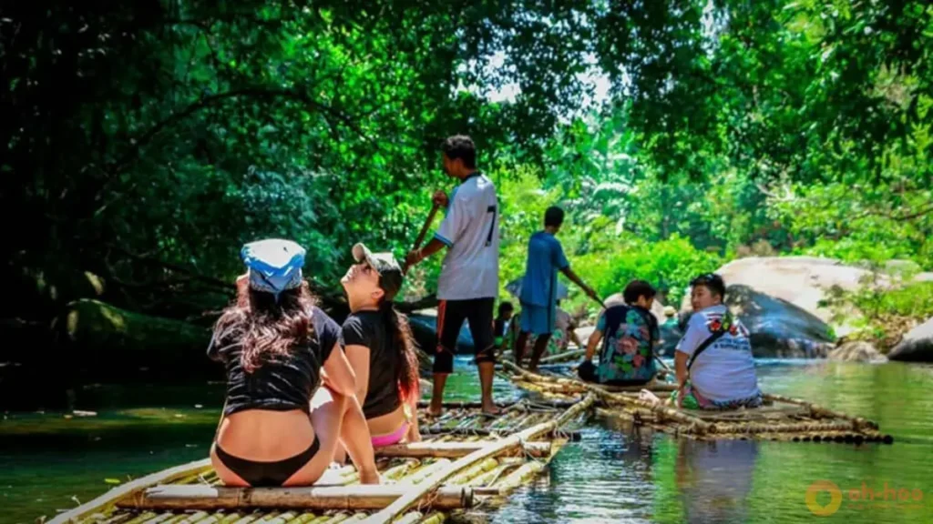 Travelers bamboo rafting through a shaded rainforest river, a peaceful experience featured in this Phuket travel guide