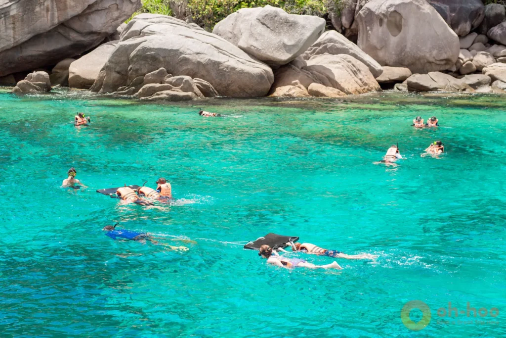 Group snorkeling in clear turquoise water at the Similan Islands during a day trip from Khao Lak