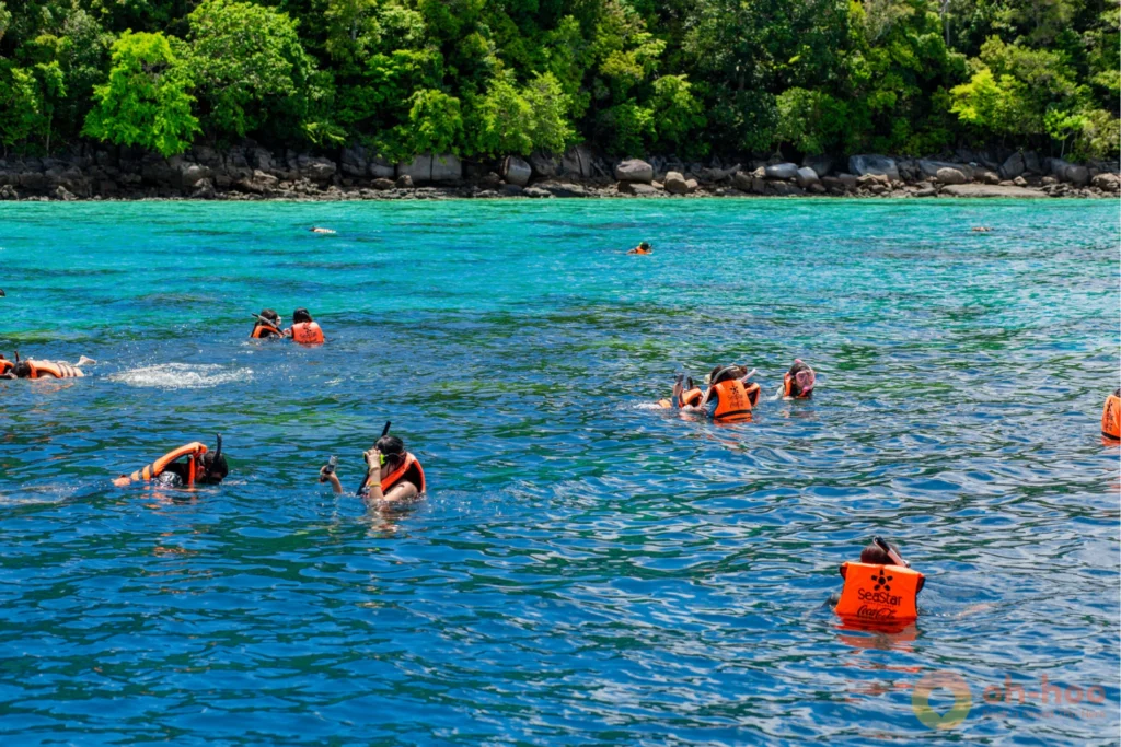 Group snorkeling above a shallow coral reef during a Surin Islands snorkeling tour