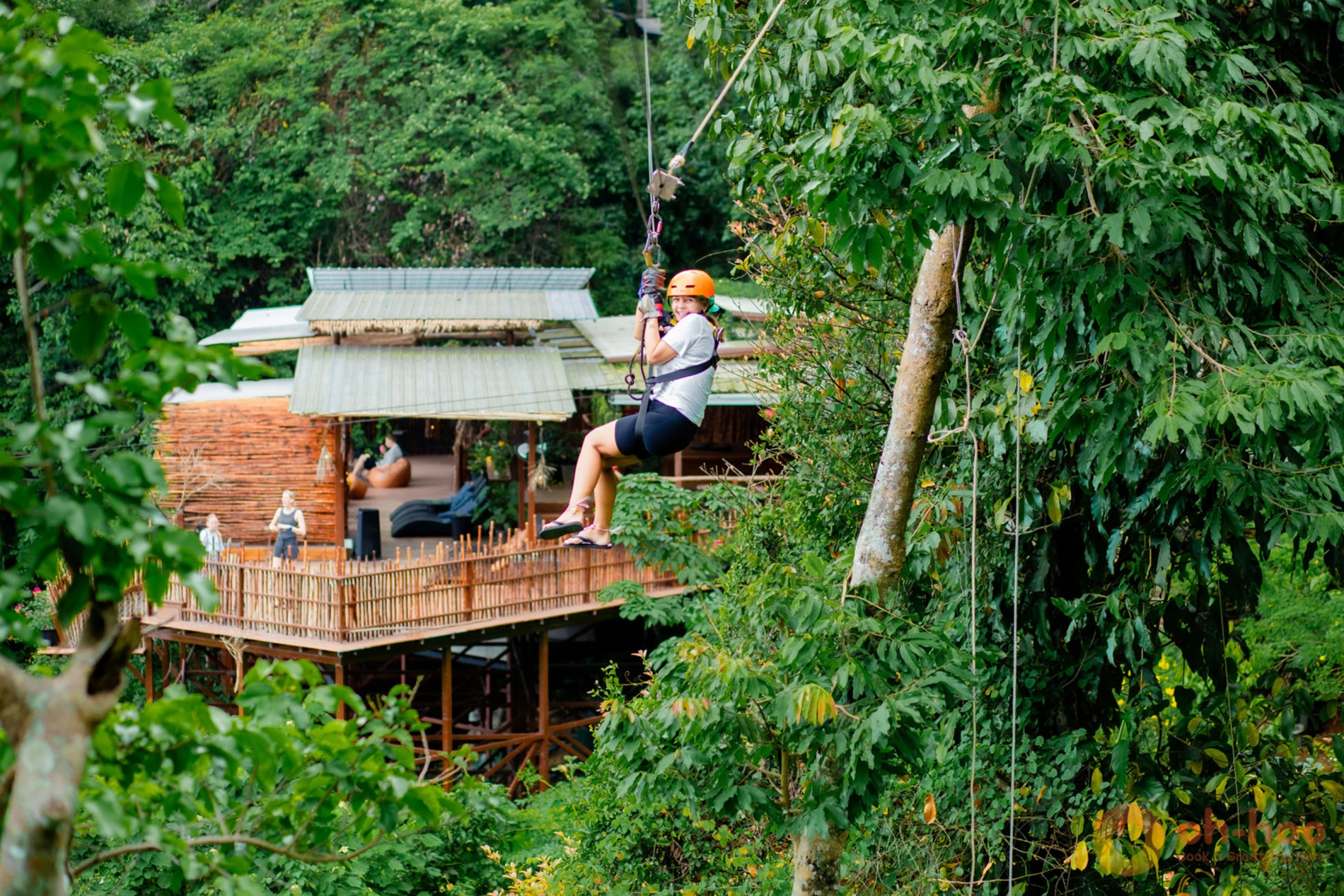 Zipline rider gliding through the jungle canopy on the Tree Bridge zipline, Koh Samui course